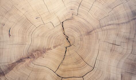 © Cla78 - stock.adobe.com